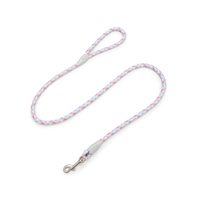 Laisse pour chien moderne, durable et flexible avec crochet, en nylon de haute qualité, idéale pour les promenades au parc et à la plage