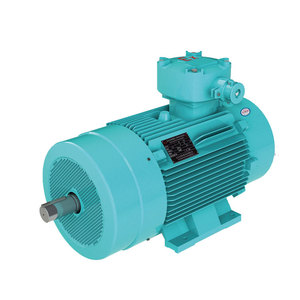 Moteur asynchrone triphasé à vitesse variable antidéflagrant de qualité standard YBBP 5,5 kW 50 Hz, efficacité IE3, IP55 - Product Image 6