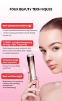 Nouvel équipement de beauté électronique de luxe lifting du visage masseur à micro-courant appareils de beauté professionnels