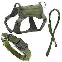 Conjunto de Arnés, Collar y Correa de Nailon para Perro, Diseño Ajustable para Perros Pequeños, Medianos y Grandes, Cómodo para Paseos Diarios