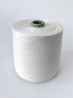 Fil à tricoter écologique Ne40/1 Siro Compact Spun 95% Birla Lyocell 5% Soie, fil mélangé, doux, pour vêtements de mode