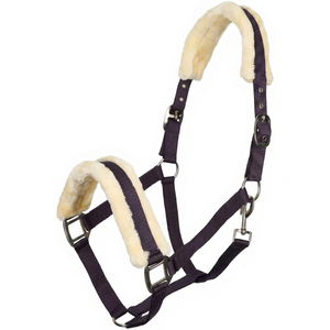 Harnais de cheval en nylon réglable de qualité supérieure avec quincaillerie métallique robuste de Divine International - Product Image 1