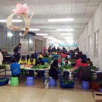 Hochzeits- und Chinesische Neujahrs-Blumenkugel, Simulierte Seidenblumen, Kerzenständer-Dekoration für Wohnzimmer, Esstisch und Außenbereich
