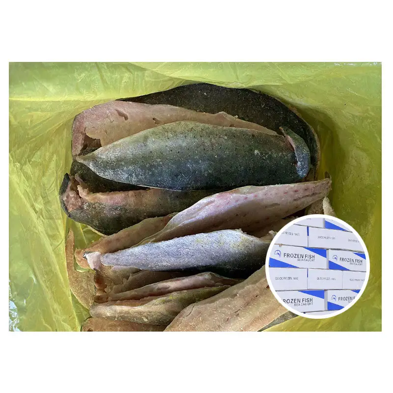 새로운 주식 베트남 급료 Mahi 물고기 좋은 품질 언 Mahi Mahi 등심