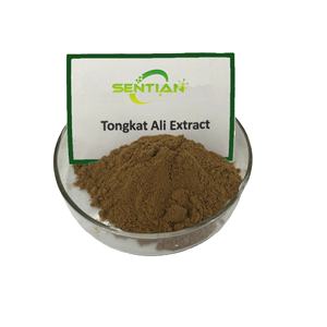 Alimentos al por mayor a granel Eurycoma Longifolia 1% 2% Tongkat Ali polvo de extracto de raíz 200:1 100:1 botella de concentración tambor disponible - Product Image 3