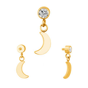 Juego de bisel de titanio CZ con colgante de Luna 16G Rosca interna Labert Helix Earring Top - Product Image 3