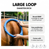 Appareil PEMF vétérinaire portable et compact Carevo, à brancher, avec grande boucle de 30 cm et boucle papillon de 15 cm, pour le corps des animaux (cheval, dos, épaule, jambe)