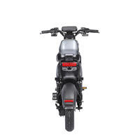 Sepeda Listrik Kota Lesuai U2 60V Motor Hub Belakang Tanpa Sikat 3-Kecepatan 1000W Jarak Tempuh >50KM Rem Cakram Hidrolik Pedal Assist Dewasa