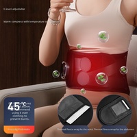 Ceinture chauffante électrique massante vibrante pour le bas du dos et les douleurs abdominales