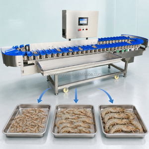 Nuevo Sistema de Clasificación de Aceitunas Tipo Riel, Clasificador de Tomates y Cerezas, Máquina Clasificadora de Cítricos, Clasificador Industrial de Vegetales - Product Image 1