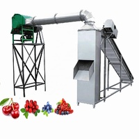 Peer Citroen Vruchten Verwerking Lijn Voor Druif Wasmachine Met Litchi Oranje Sorteren Apparatuur Avocado Drogen Machines