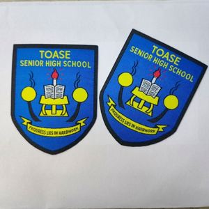 Supply Promotional Gift <b>Iron</b> on Clothing Patches Custom Embroidery Hoodie 3D Woven Badges Tag for School Uniform Clothing - Product Image 1