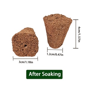 Factory 128 Cell <b>Tray</b> Size Coco Coir Growing Starter Plug Vegetable Plant Soil Clone Cutting <b>Seedling</b> 5120 Pcs/box - Product Image 3