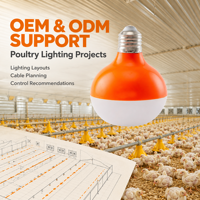 Ampoule LED E27 personnalisée pour volailles, 48V DC, dimmable, étanche IP67, pour applications agricoles (élevage de poulets de chair, poules pondeuses, reproducteurs)