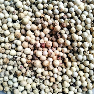 Pimienta Blanca India Fresca y Natural de Primera Calidad, Entera, para Comerciantes Internacionales de Especias y Proveedores de Ingredientes Alimenticios, 24 Meses de Duración - Product Image 1