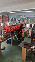 Automatische RVS sinaasappel- en citroenpers, eenvoudige bediening, 1 jaar garantie, 220V sapcentrifuge met kernmotorcomponent