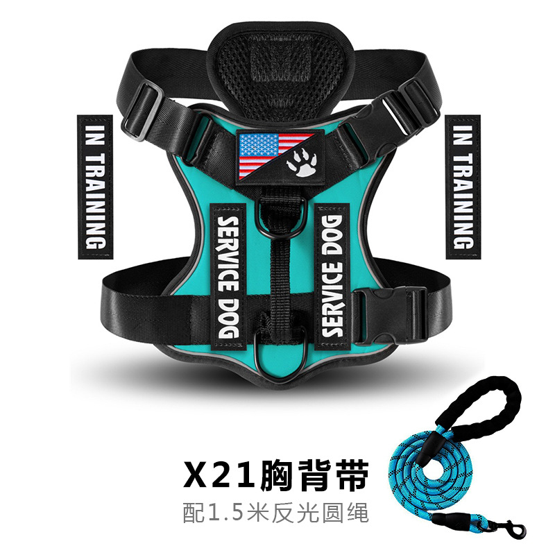 Set sangle + laisse Lake Blue