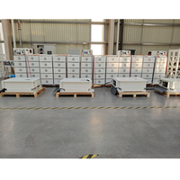 Batterie au lithium BESS 500 kW 1 MWh 1,2 MWh 2 MWh 2,4 kWh Système de conteneur 20 pieds 40 pieds avec onduleur hybride Solis 125 kW 250 kW 500 kW