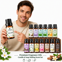 Huiles parfumées de qualité supérieure en gros, 10 ml, marque privée, pour la fabrication de bougies et de savons, pour coffrets cadeaux, diffuseurs d'arômes