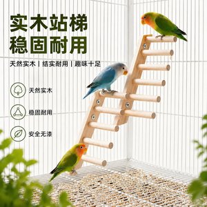 Échelle pour oiseaux en bois massif pour agapornis, taille moyenne, durable, jouet à mâcher et à grimper, utilisation intérieure, forme rectangulaire - Product Image 1