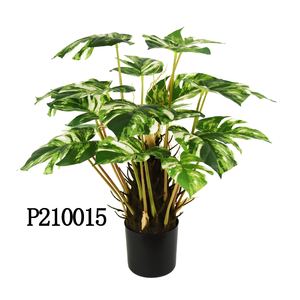 Senmasine <span class=keywords><strong>ต้น</strong></span><span class=keywords><strong>ป</strong></span>าล์ม<span class=keywords><strong>ป</strong></span><span class=keywords><strong>ล</strong></span>อม60ซม. 21หัวห<span class=keywords><strong>ล</strong></span>ายรูปแบบ, <span class=keywords><strong>ต้น</strong></span><span class=keywords><strong>ป</strong></span>าล์มเทียมเขียวชอุ่มต<span class=keywords><strong>ล</strong></span>อดปี<span class=keywords><strong>ต้น</strong></span><span class=keywords><strong>แอ</strong></span><span class=keywords><strong>ป</strong></span><span class=keywords><strong>เปิ้</strong></span><span class=keywords><strong>ล</strong></span> Spathiphyllum taro Leaf <span class=keywords><strong>ป</strong></span><span class=keywords><strong>ล</strong></span>อม - Product Image 3