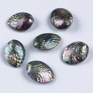 50-60mm Natural polished Shell Natural Craft Abalone Shell
