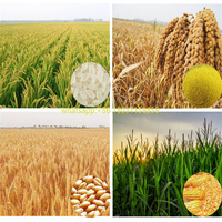 Petite batteuse de blé/batteuse manuelle de millet/batteuse de riz de blé à vendre