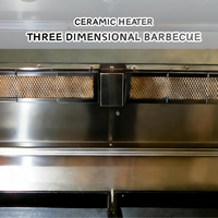 Barbecue rotatif professionnel en acier inoxydable, au charbon de bois et au gaz (en option), pour porc, agneau, poulet, usage extérieur