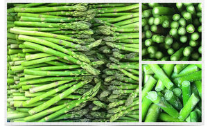 Bán buôn măng tây tươi cạnh tranh măng tây giá cao cấp măng tây đông lạnh cho các nhà bán lẻ - Product Image 4