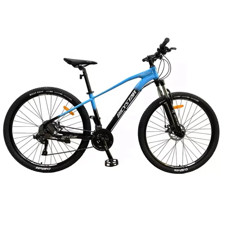 Carbon fiber bike 29 inch china cycles 26er mountain bike cheap price Philippine good quality roadbike gear/bycicle under 2000