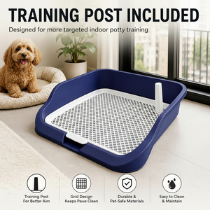 Bandeja de entrenamiento para perros Polonia Stock, 50x45cm, con protector antisalpicaduras de borde alto y rejilla extraíble, fácil de limpiar, Dropshipping UE - Product Image 3