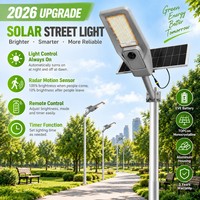 Lampadaire Solaire LED SMD 5054 Haute Luminosité 200W 600W à Panneau Solaire TOPCon et Capteur Radar, Batterie LiFePO4, IP65, pour Extérieur et Route