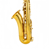Profesional Bb Tenor Saxophone Gold Lacquer Surface Brass Body B-flat Bakelite Mouthpiece Woodwind Instruments with Accessories