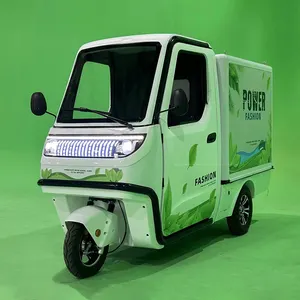 DOT EEC certificato chiuso triciclo elettrico Cargo fabbrica bici con cabina per il trasporto