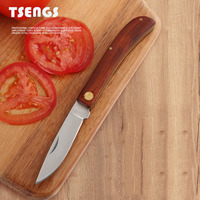 Couteau à fruits portable en acier inoxydable avec manche en bois pliant Melon domestique et couteau d'office