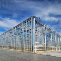 Serre en verre multi-spans de grande taille Skyplant pour l'agriculture, système hydroponique pour la culture de légumes et de tomates