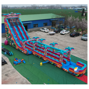 Toboggan aquatique gonflable <span class=keywords><strong>Aloha</strong></span> Splash Hibiscus Hawaïen pour adultes, en PVC, double piste, avec <span class=keywords><strong>piscine</strong></span>, usage commercial - Product Image 3