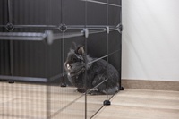 Parc pour petits animaux pour chiots Hamsters Lapins Clôture métallique durable avec cage pour chien respirante