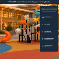 SageDelightRides Équipement d'amusement modulaire pour parc commercial, Combo toboggan tunnel multi-niveaux pour enfants, en LLDPE et tubes en acier, pour Place publique, OEM
