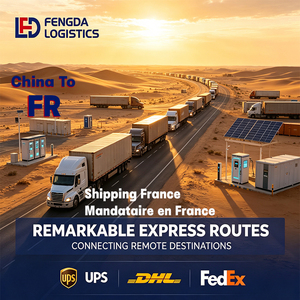 Suivi des frais de transport de conteneurs par coursier DHL vers la France, aéroport de Lyon Saint-Exupéry, dédouanement - Product Image 1