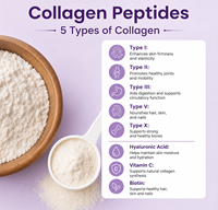 OEM Multi Collageen met Vitamine C Voedingssupplement Gehydrolyseerd Collageenpoeder voor volwassen vrouwen, ter ondersteuning van huid, haar en nagels