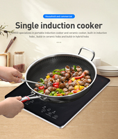 Mini cuiseur à Induction Portable, w, Mini cuiseur à Induction, grande puissance, bon prix