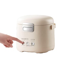 Usine Personnalisé 1.2L 200W Cuiseur À Riz Électrique Antiadhésif En Aluminium Pot Intérieur 1-2 Personnes Cuiseur À Riz avec Vapeur