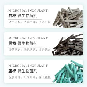 Bastoncino di Primo Soccorso per Piante Promuove Foglie Verdi e Fioritura Previene <span class=keywords><strong>Malattie</strong></span> e Inibisce i Batteri Rilascio Delicato Residui Minimi - Product Image 5