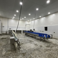 Machine d'abattage de volaille de type plateau rotatif, machine de tri et de classement des pieds de poulet par poids