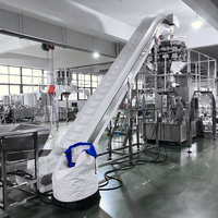 Automatische elektrische blauwe bes passievrucht pulp vacuümverpakkingsmachine met plastic folie voor kleding & textiel