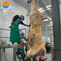 Ligne d'abattage de bovins certifiée CE, projet clé en main, équipement d'abattoir de petite taille, garantie 1 an pour l'installation d'une usine d'abattage de vaches