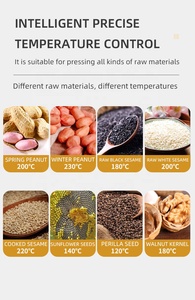 Presse à huile à froid portable compacte pour petites entreprises – Idéale pour presser la palme, le tournesol, le sésame, la noisette – En promotion - Product Image 6