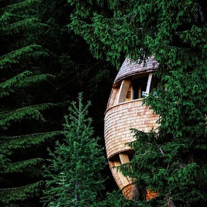 Casa de Árbol de Madera Tratada a Presión para Exteriores, Casa de Verano de Fácil Montaje, Cabaña de Camping de Estilo Tradicional - Product Image 3