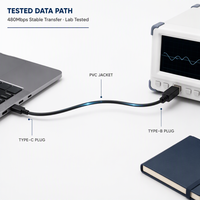 LUNG KAY Kabel USB 2.0 Tipe-C ke Tipe-B 2m 480Mbps 3A Bahan PVC untuk Printer Ponsel Laptop Scanner